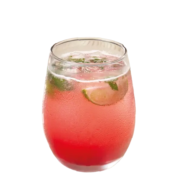 Mojito Cubano