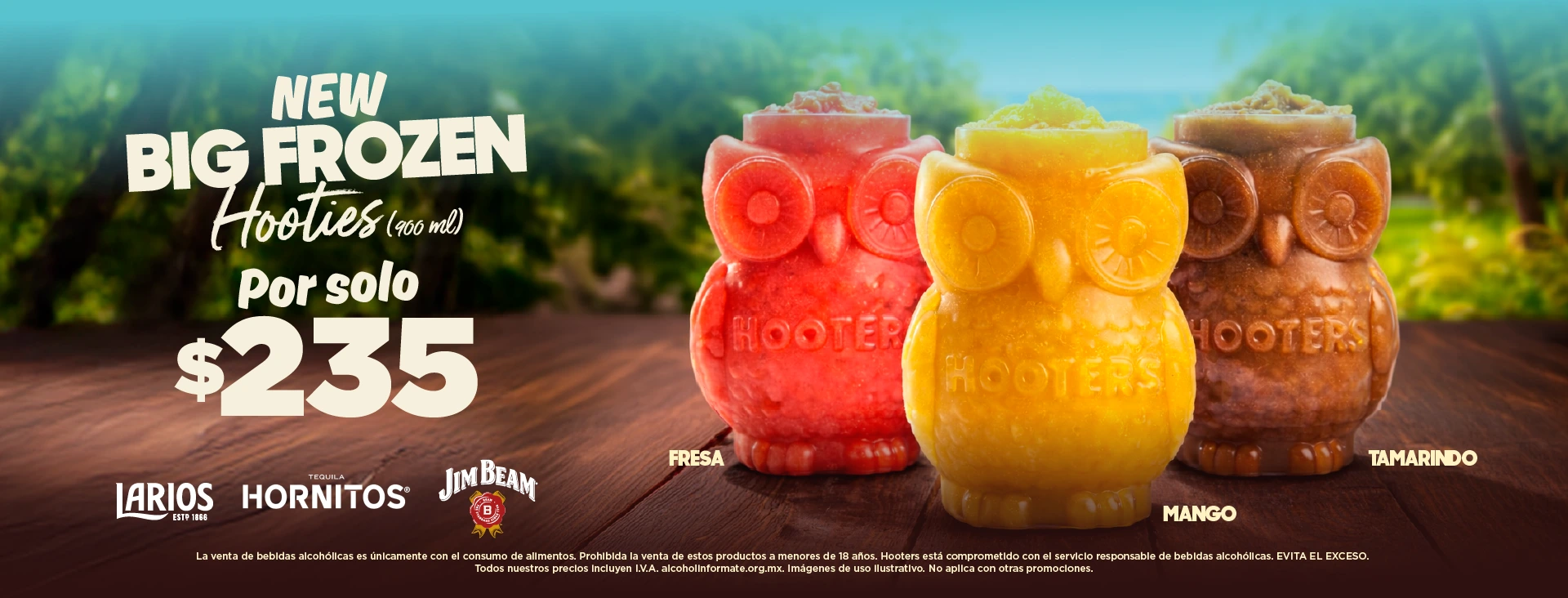 BANNERS-SITIOWEB-FROZENHOOTIES-05